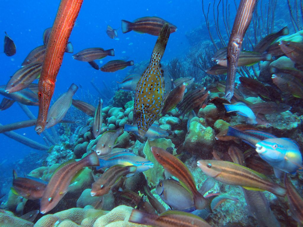 2020 Bonaire - Web 233 von 288