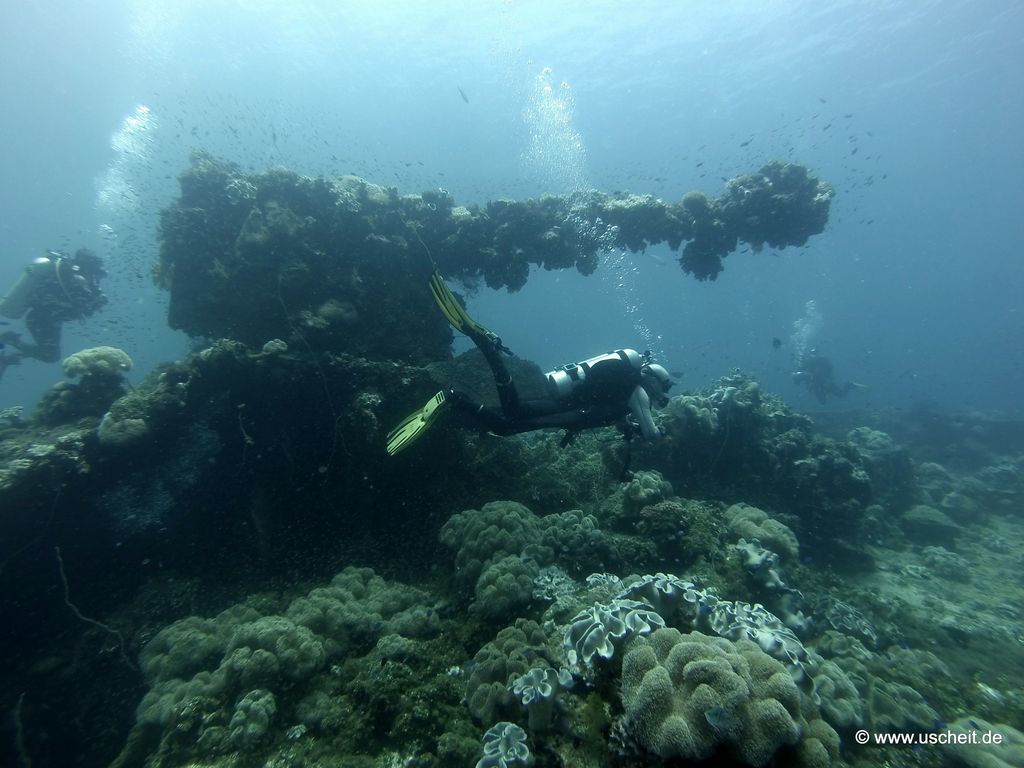 Fujikawa Maru 