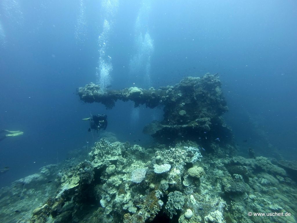 Fujikawa Maru 