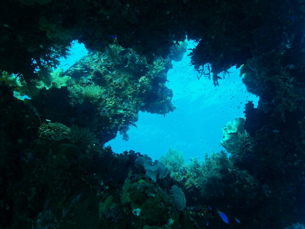 Gosei Maru 