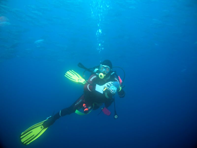 pa051475.jpg