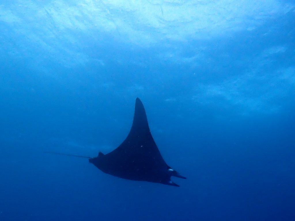 Galapagos2 101 von 178