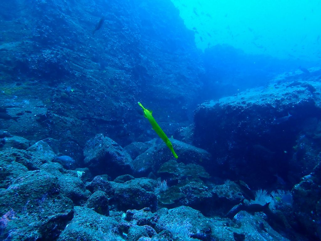 Galapagos2 142 von 178