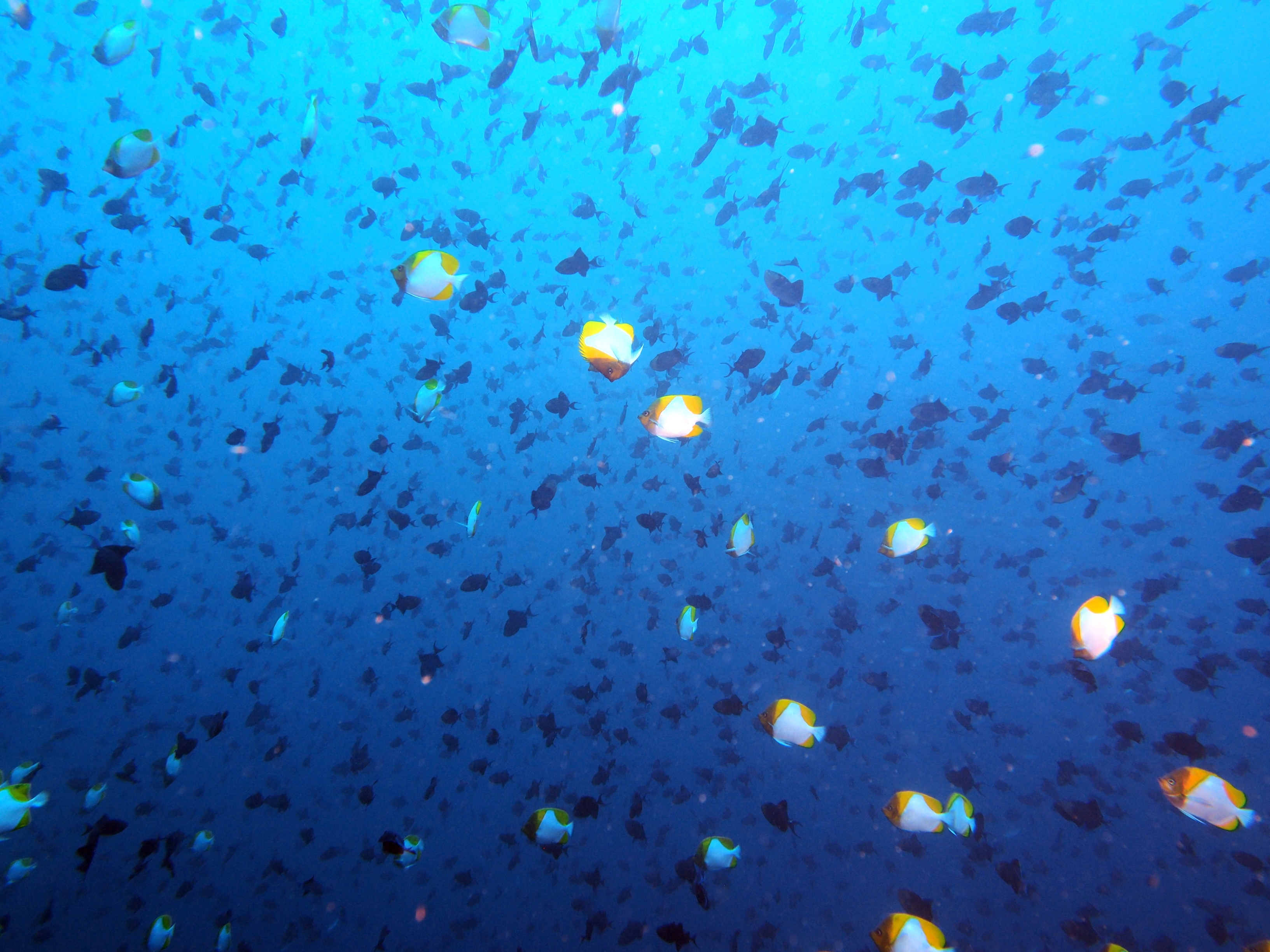 Indonesien6 145 von 164