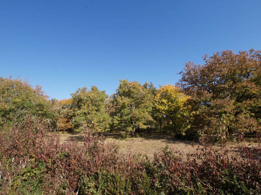 Lot 2011
