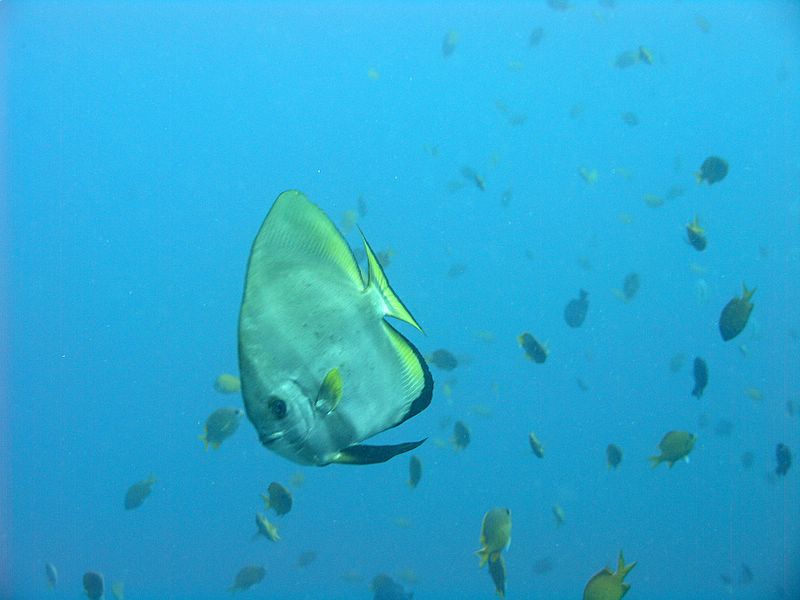 pa204326.jpg