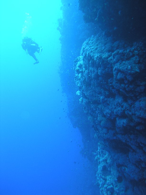 Große Marinepark Tour - Bild 64 von 110 - Abyss                